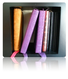 Books on Shelf.002